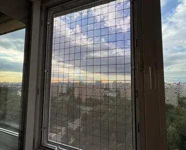 gallery-2